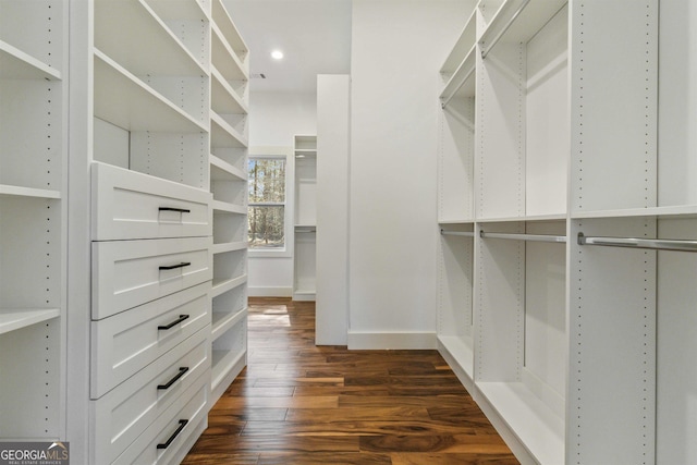 walk in closet featuring dark hardwood / wood-style floors