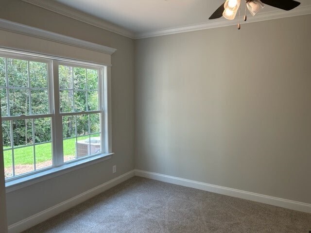 carpeted spare room with ceiling fan, ornamental molding, and a wealth of natural light