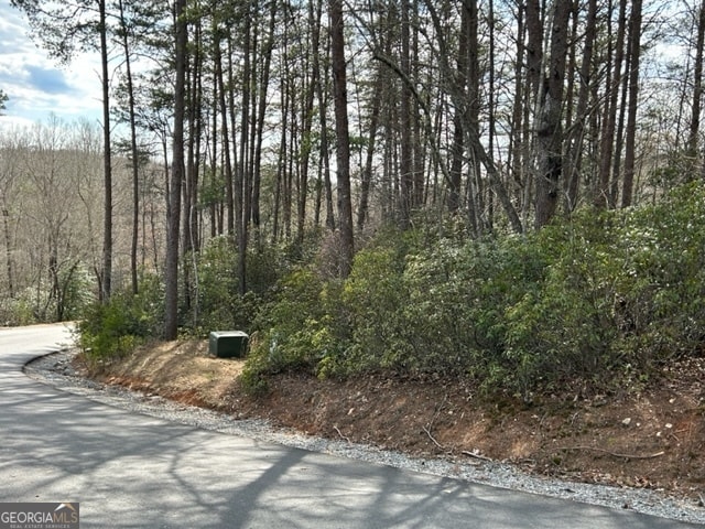 Listing photo 2 for 0 Hardwood Ct, Mineral Bluff GA 30559