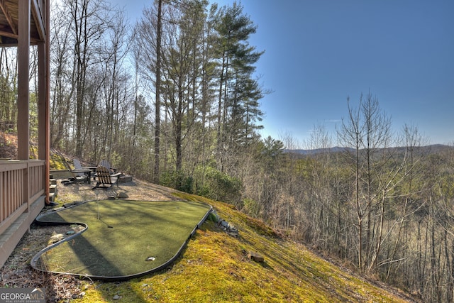 view of yard featuring a patio