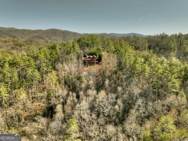 property view of mountains