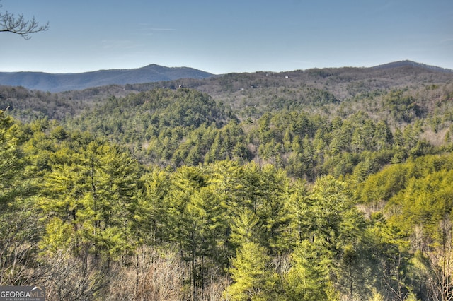 property view of mountains