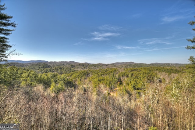 property view of mountains