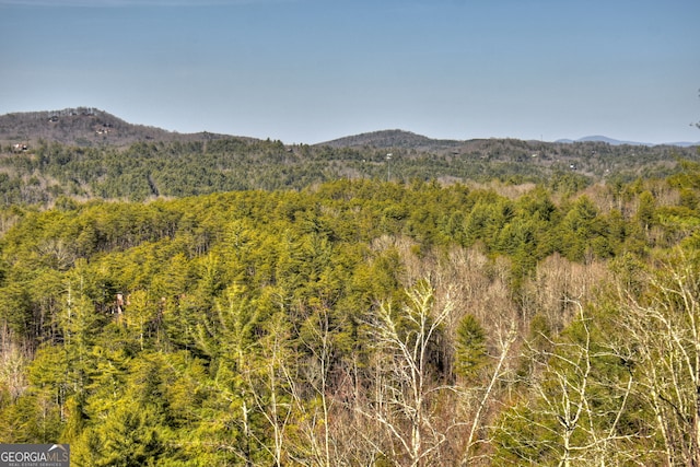 property view of mountains