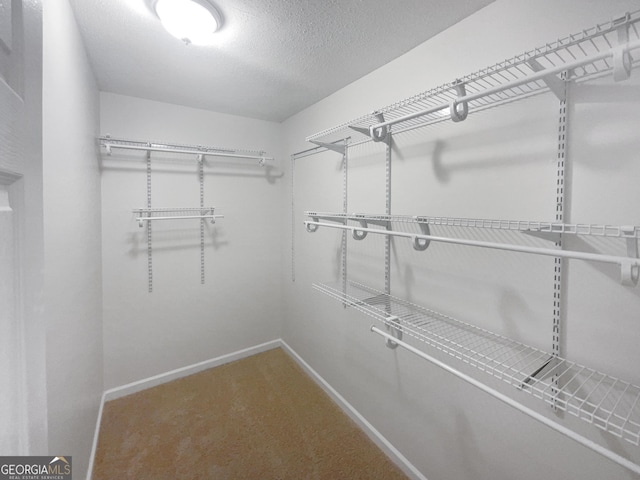 walk in closet with carpet flooring