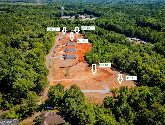 LOT10 Young Ln, Hamilton GA, 31811 land for sale