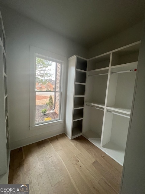 walk in closet with light wood-type flooring