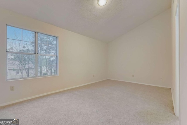 empty room with light carpet, lofted ceiling, a textured ceiling, and a wealth of natural light