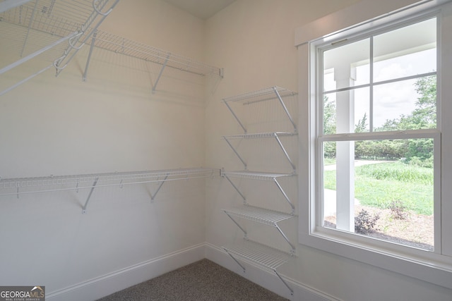 view of spacious closet