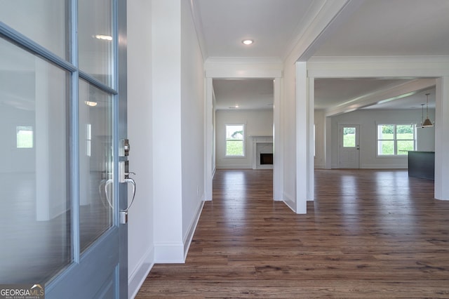 corridor featuring plenty of natural light, crown molding, and dark hardwood / wood-style floors