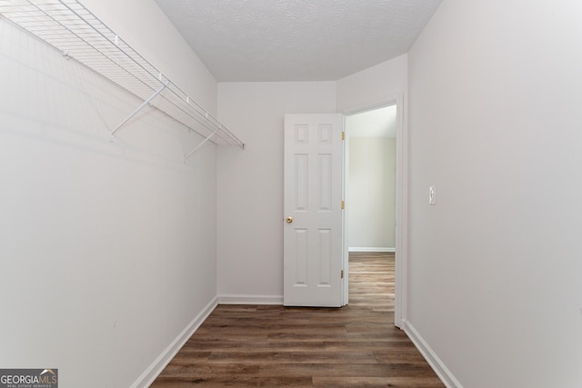 walk in closet featuring dark hardwood / wood-style floors