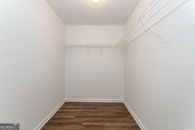 walk in closet with dark hardwood / wood-style flooring