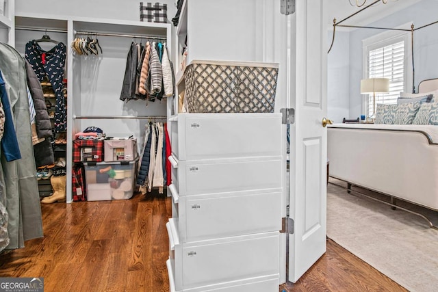 spacious closet with wood-type flooring