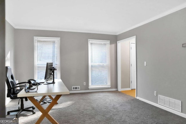 carpeted office space featuring crown molding and a healthy amount of sunlight