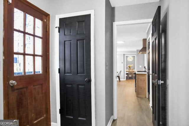 foyer with light hardwood / wood-style flooring