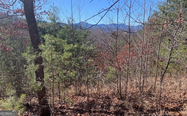 Listing photo 2 for 111 Four Seasons Lndg, Blairsville GA 30512