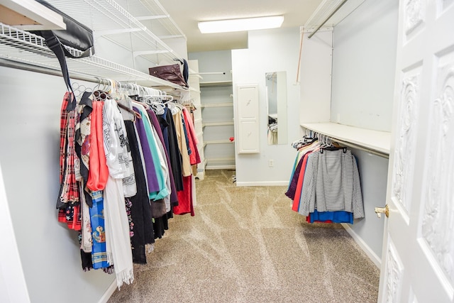 walk in closet featuring light carpet