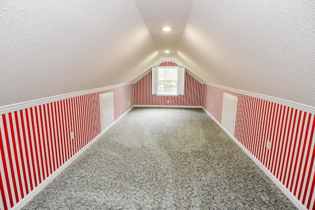 additional living space with lofted ceiling, a textured ceiling, and carpet