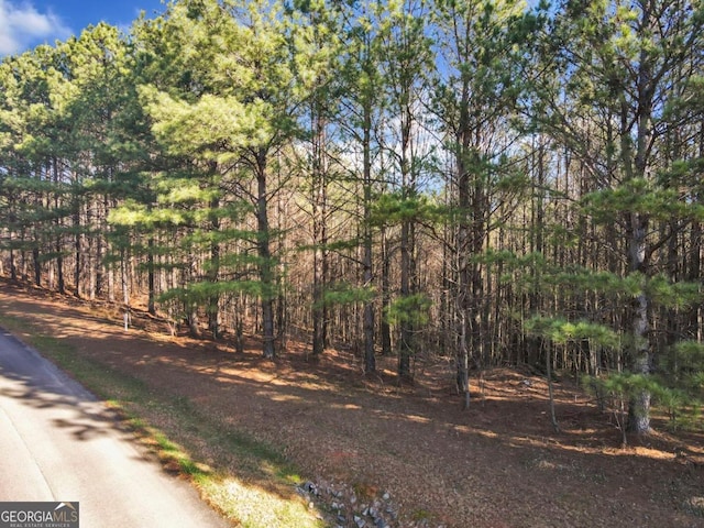 0 Foxpaw Leaf Ln, Ellijay GA, 30536 land for sale