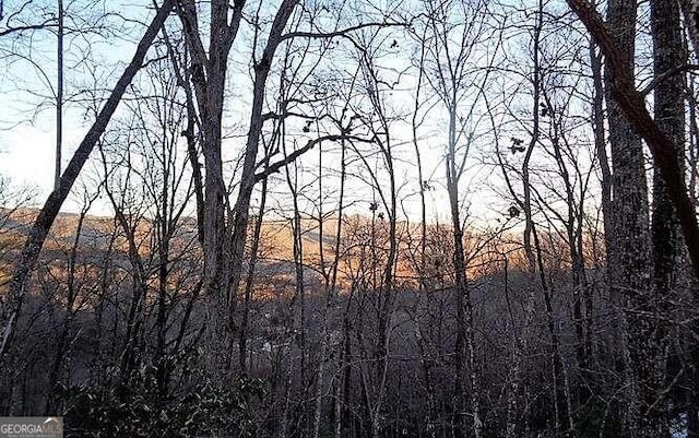 Listing photo 2 for TRACT2 Town Mountain Rd, Hayesville NC 28904