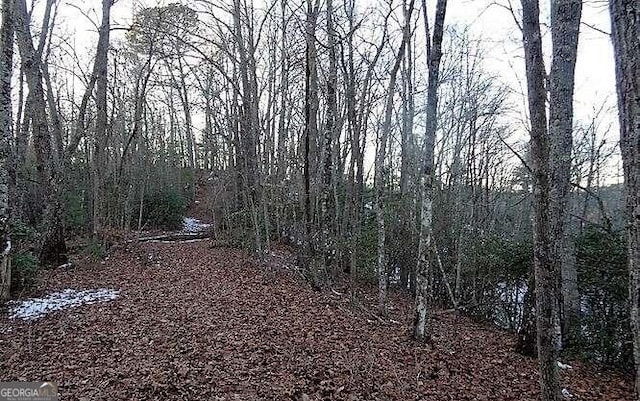 Listing photo 3 for TRACT2 Town Mountain Rd, Hayesville NC 28904