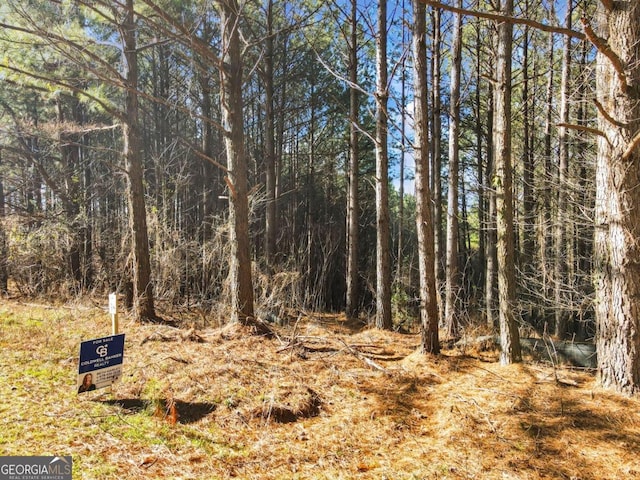 0 Fox Paw Leaf Ln, Ellijay GA, 30536 land for sale