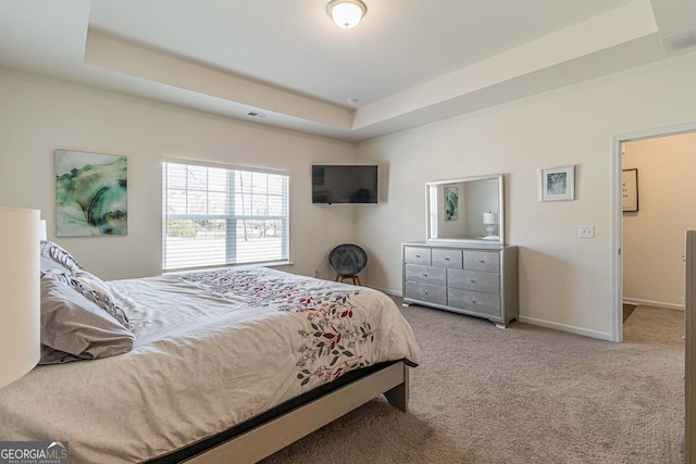 carpeted bedroom featuring a raised ceiling