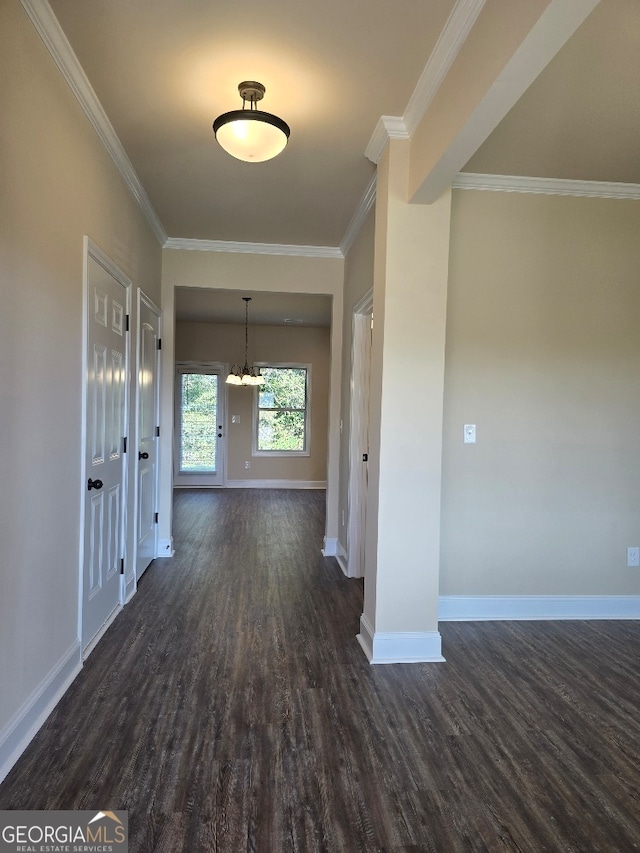 hallway featuring ornamental molding and dark hardwood / wood-style flooring