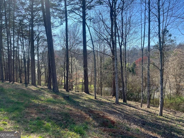 Listing photo 2 for LOT11 Bent Grass Cir, Hayesville NC 28904