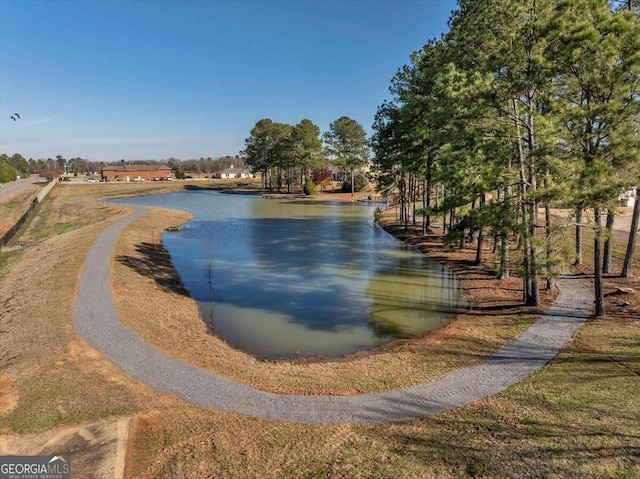 view of property's community with a water view