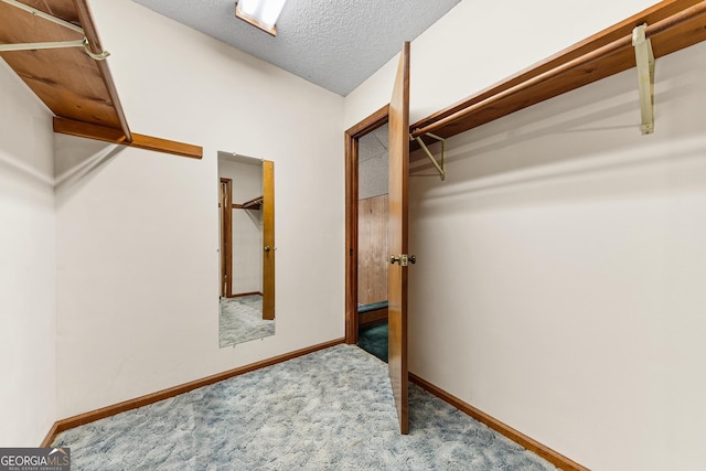 spacious closet featuring carpet floors