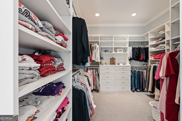 walk in closet with light colored carpet