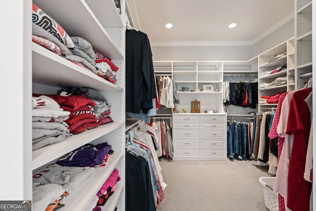 113 Hawks Ct, Ball Ground, GA 30107 - walk in closet with light colored carpet