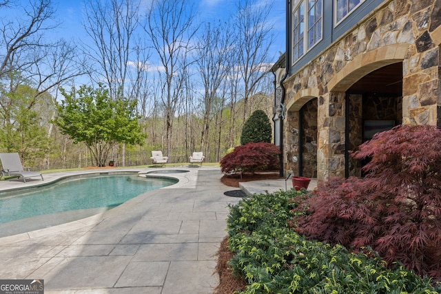 view of pool with a patio area