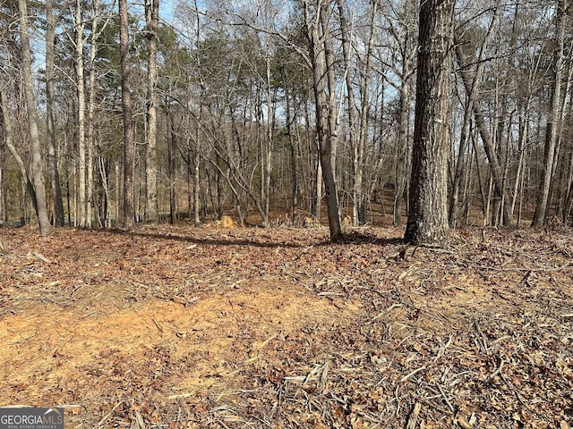 Listing photo 2 for LOT2 Teel Mountain Dr, Cleveland GA 30528