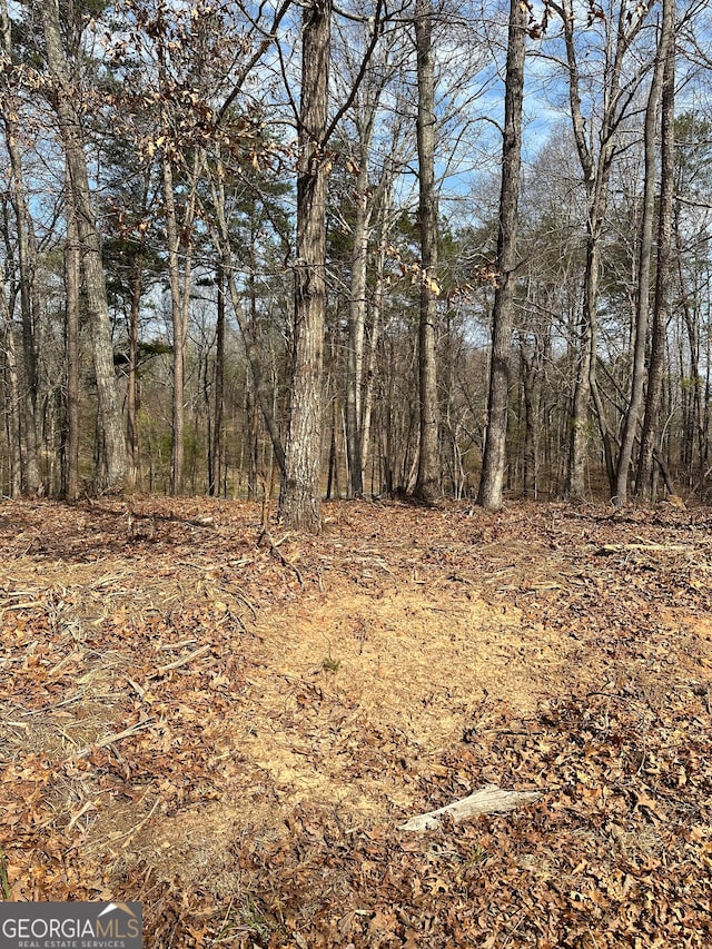 Listing photo 3 for LOT2 Teel Mountain Dr, Cleveland GA 30528