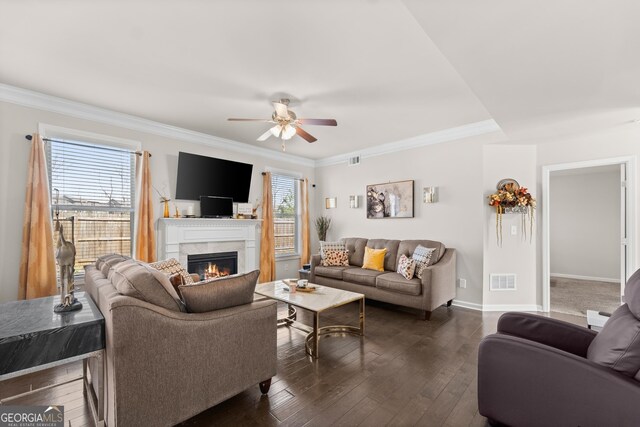 living room featuring dark hardwood / wood-style flooring, ceiling fan, and crown molding