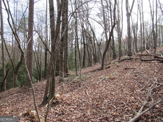 0 Long Branch Rd, Dahlonega GA, 30533 land for sale