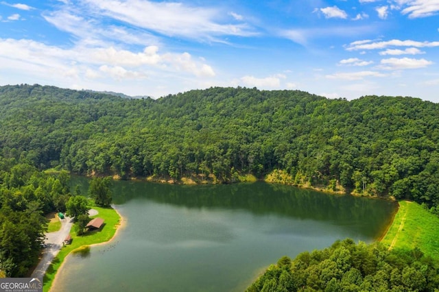 1686 Shade Tree Dr, Talking Rock, GA 30175