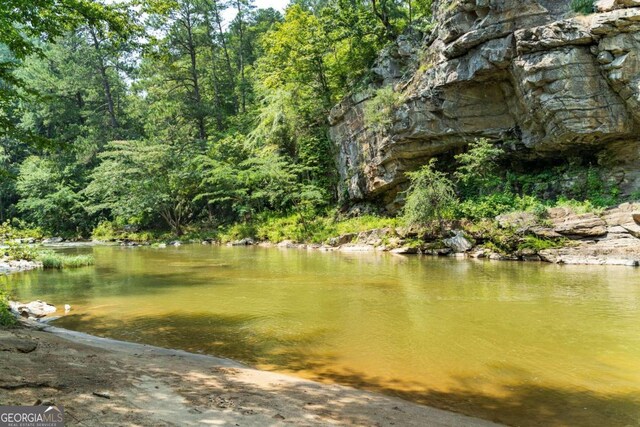 1686 Shade Tree Dr, Talking Rock, GA 30175