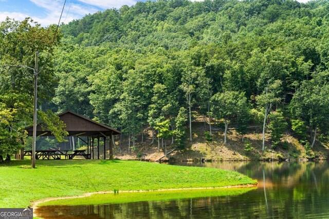 1686 Shade Tree Dr, Talking Rock, GA 30175