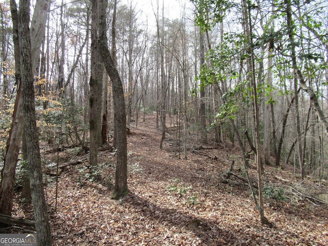 00 Long Branch Rd, Dahlonega GA, 30533 land for sale