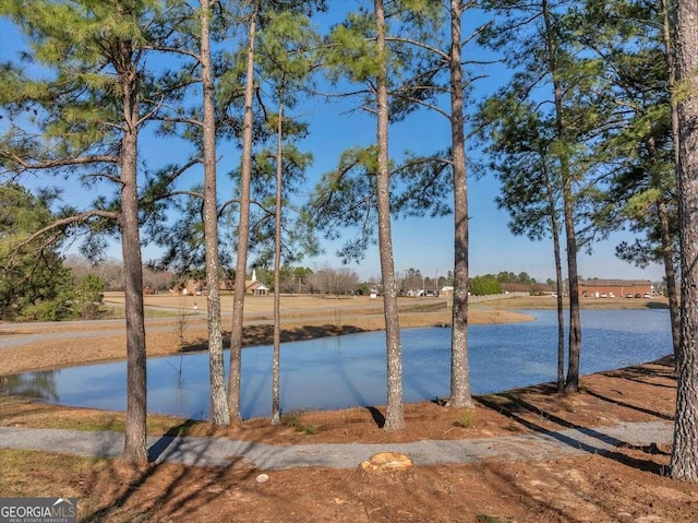 view of water feature