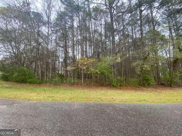 254 Westchester Dr, Griffin GA, 30223 land for sale