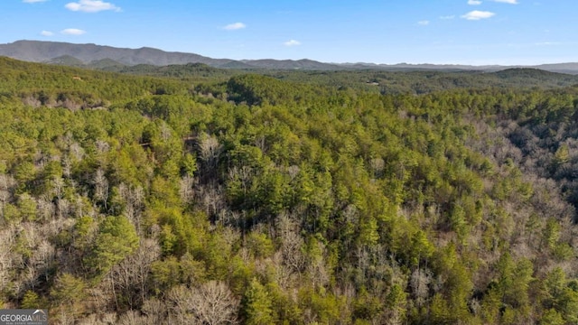 LOT19 Skyline Dr Unit 19, Turtletown TN, 37391 land for sale