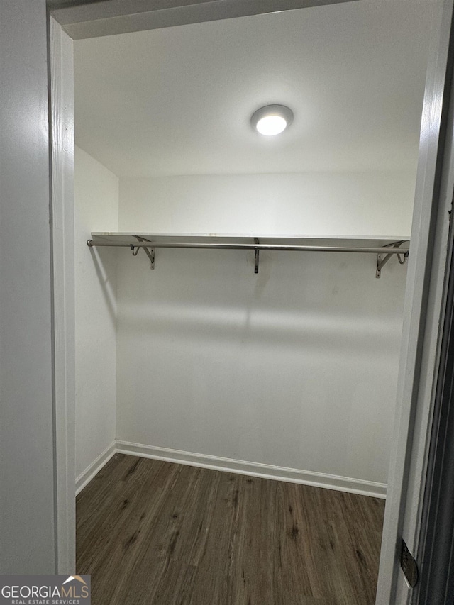 spacious closet featuring dark hardwood / wood-style floors