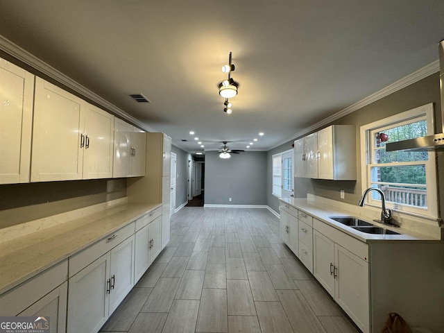 kitchen featuring white cabinets, ceiling fan, ornamental molding, and sink