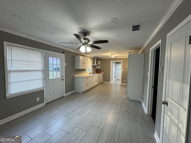 kitchen featuring white cabinetry, ceiling fan, crown molding, and sink