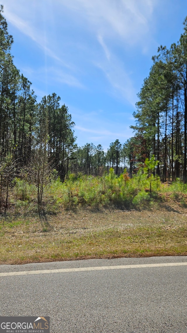 Listing photo 2 for LOT1 Penfield, Greensboro GA 30642