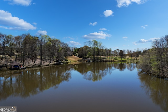 Listing photo 3 for 0 Center Point Rd Unit Tr 3, Carrollton GA 30117